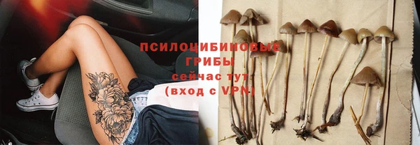 каннабис Михайловка
