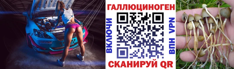 Псилоцибиновые грибы мицелий  kraken ссылки  Советск  даркнет сайт 